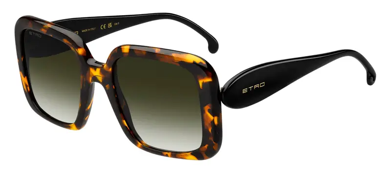 ETRO Occhiali da sole Donna Verde 842103