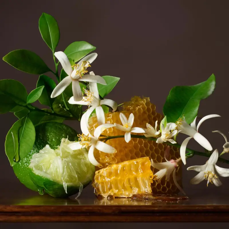 ETRO Eau de Parfum Donna 2995992 miniatura 4