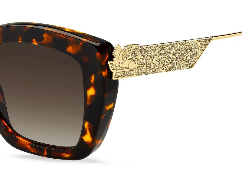 ETRO ETRO 0039/G/S 086/HA Occhiali da sole Marrone Sfumato miniatura 2
