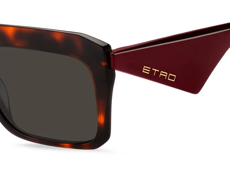 ETRO ETRO 0045/G/S 65T/70 Occhiali da sole Marrone miniatura 2