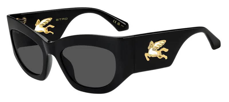 ETRO  ETRO 0074/G/S 807/IR Occhiali da sole   Grigio