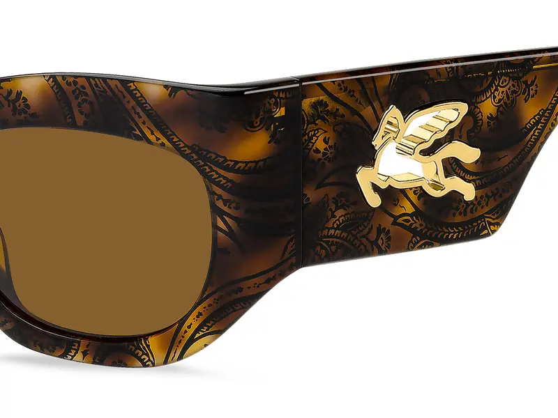 ETRO ETRO 0074/G/S H7P/70 Occhiali da sole Marrone miniatura 2