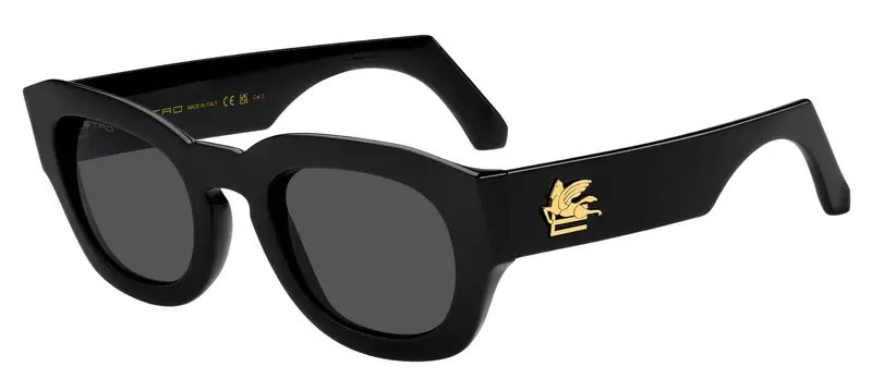 ETRO  ETRO 0079/S 807/IR Occhiali da sole   Grigio