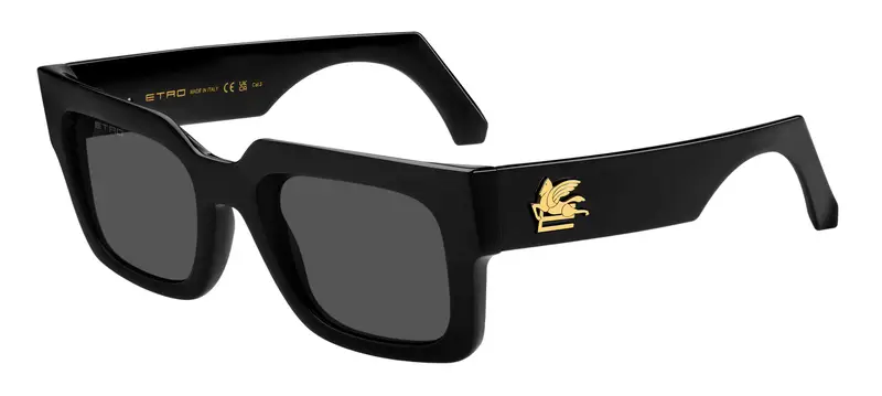 ETRO  ETRO 0080/S 807/IR Occhiali da sole   Grigio