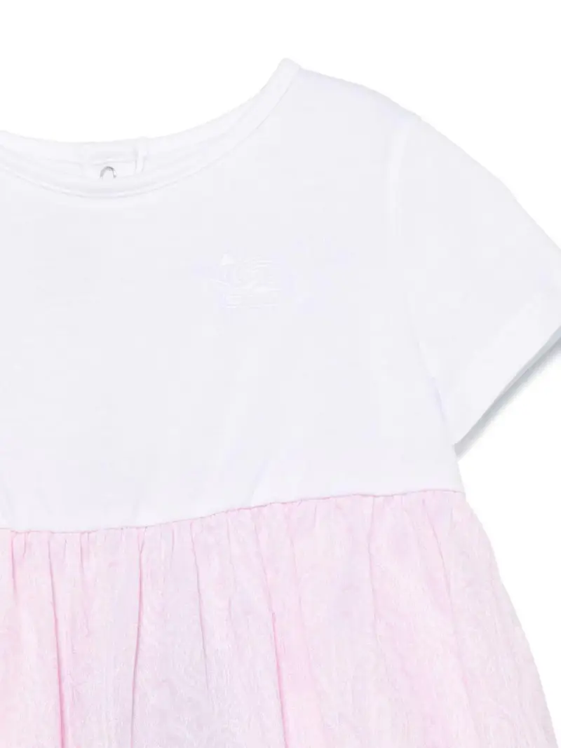 Tutina bicolor neonata Rosa miniatura 2