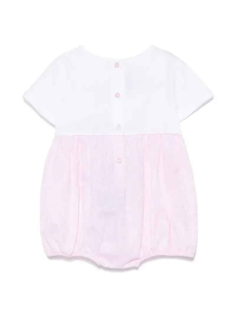 Tutina bicolor neonata Rosa miniatura 3