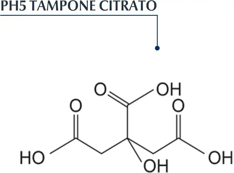 DermoCapillaire DermoCapillaire Shampoo Ph5 Delicato - Shampoo delicato, Capelli normali miniatura 4
