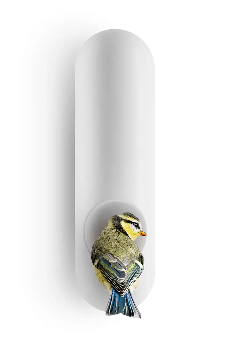 mangiatoia per uccelli Multicolore miniatura 3