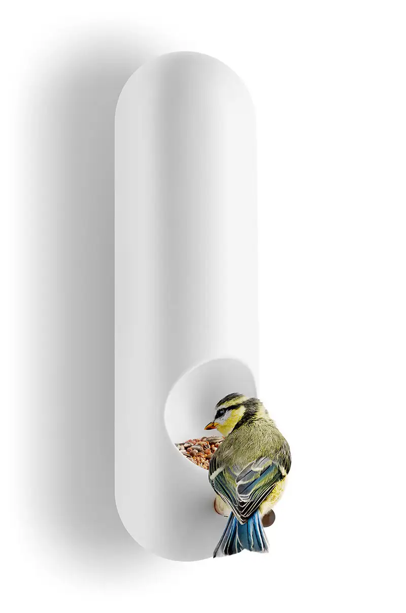 mangiatoia per uccelli Multicolore miniatura 5