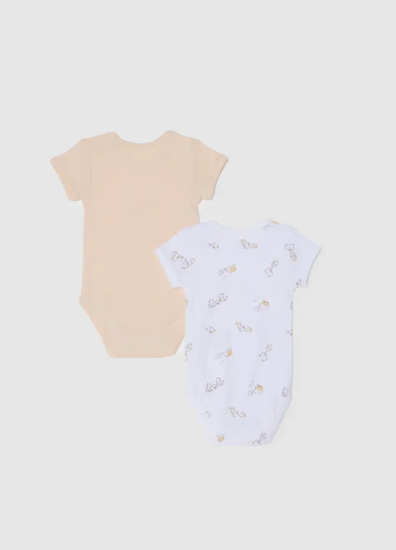 FAGOTTINO Body Neonato Multicolore 4328618 miniatura 2