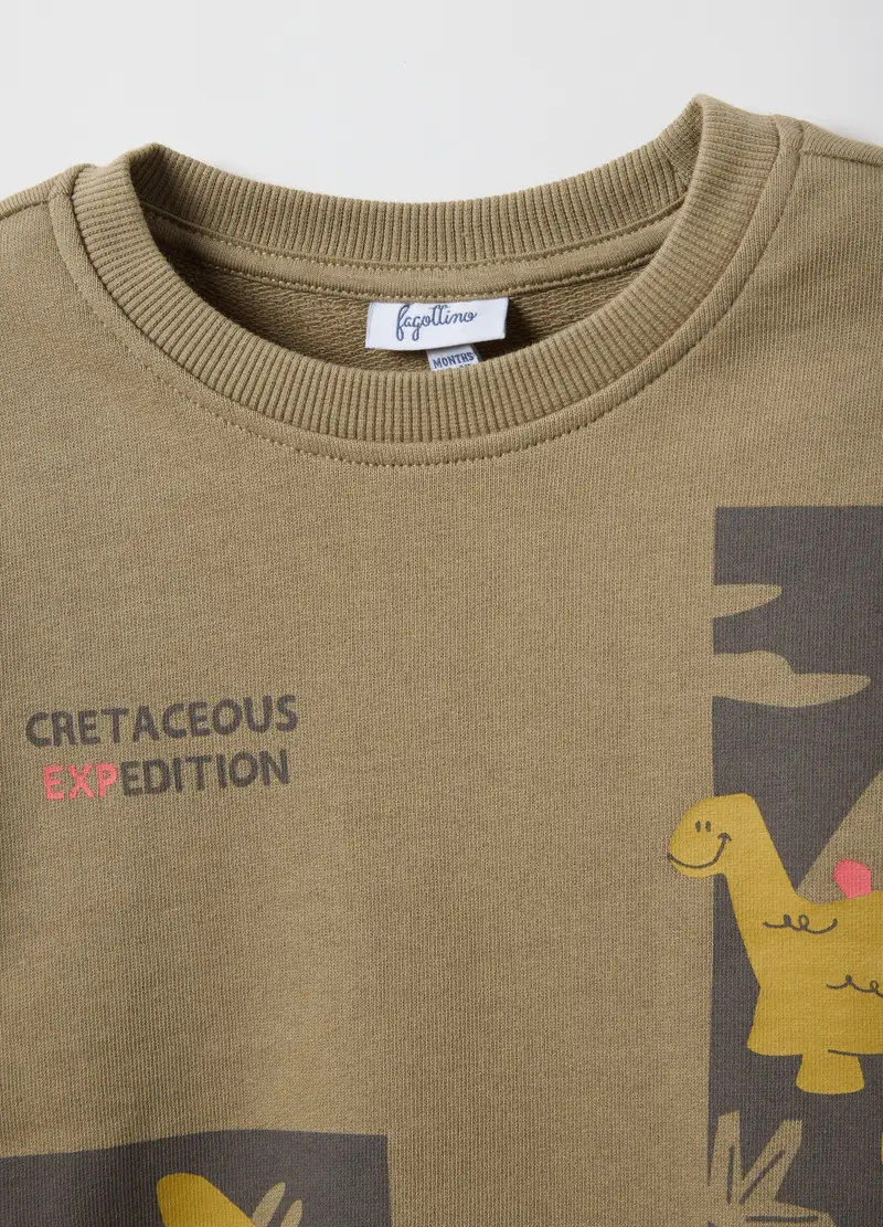 Felpa In Puro Cotone Beige Regular Fit Da Bimbo Con Stampa, Bambino, Beige miniatura 3