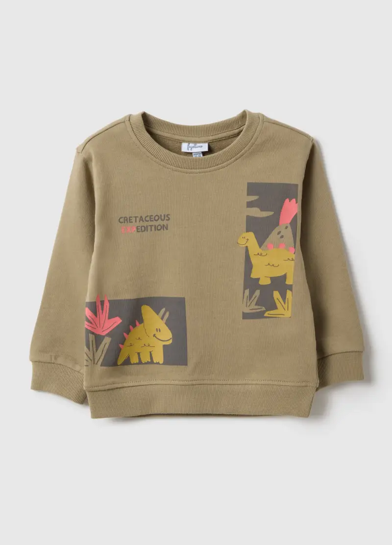 Felpa In Puro Cotone Beige Regular Fit Da Bimbo Con Stampa, Bambino, Beige