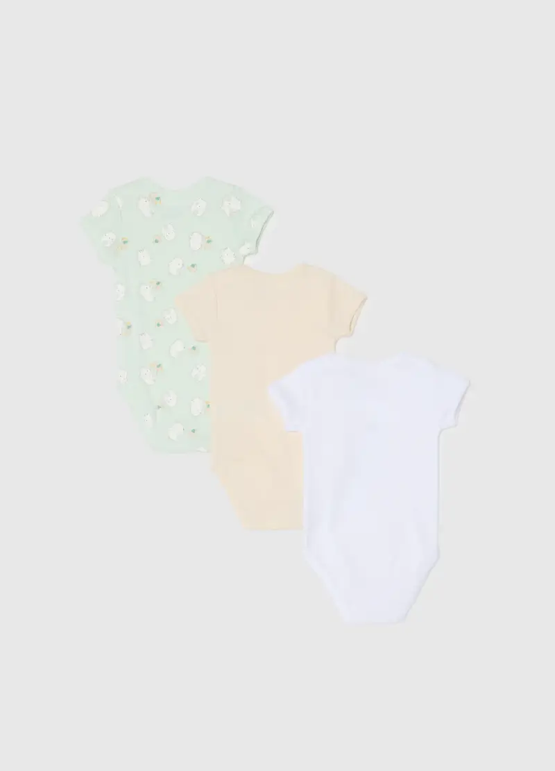 FAGOTTINO Body Neonato Multicolore 4133659 miniatura 2