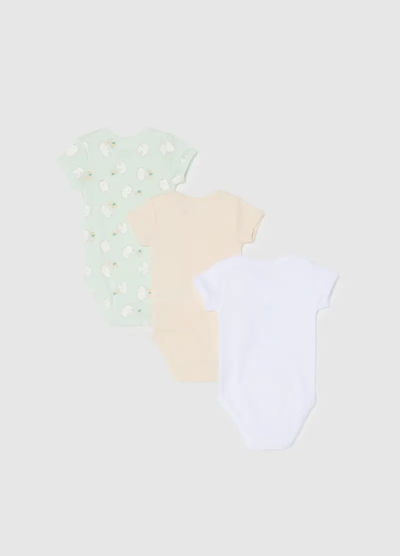 FAGOTTINO Body Neonato Multicolore 4287633 miniatura 2