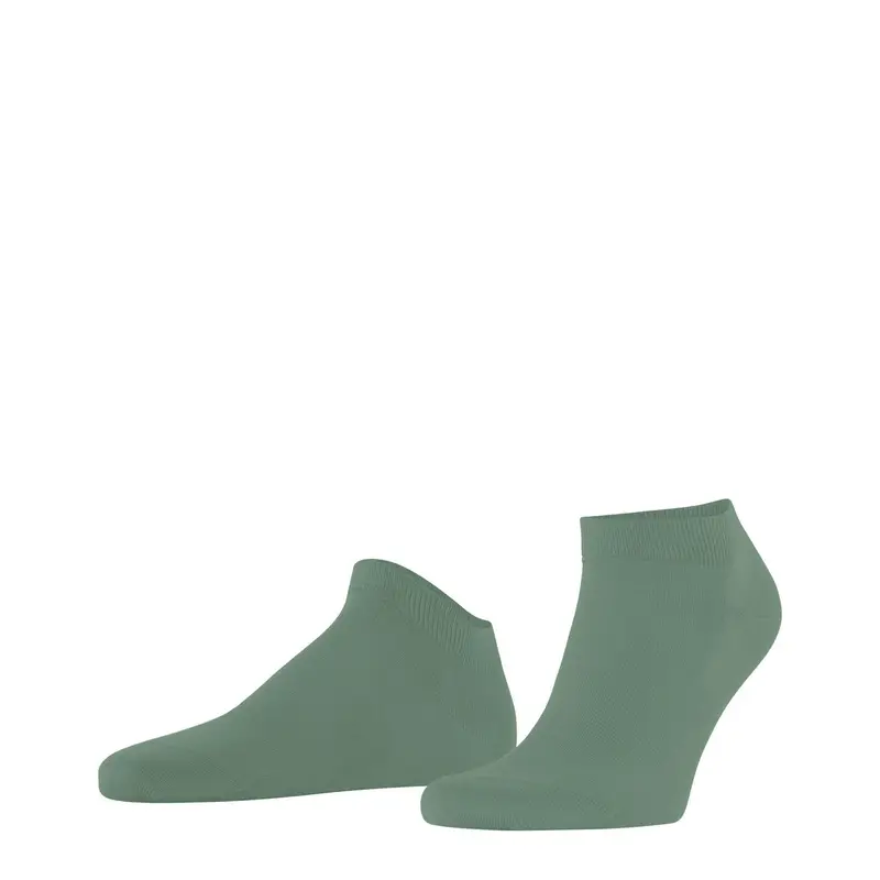 FALKE Calze Uomo Verde 4175891