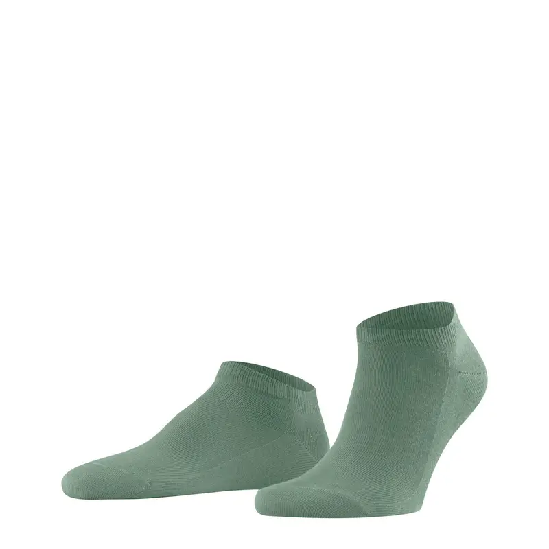 FALKE Calze Uomo Verde 4189197