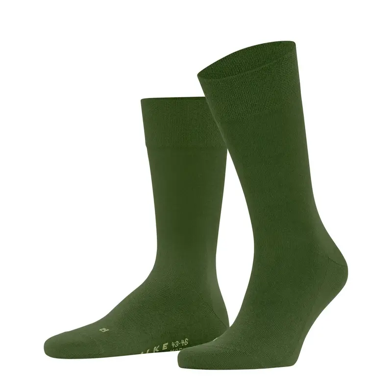 FALKE Calze Uomo Verde 4175885