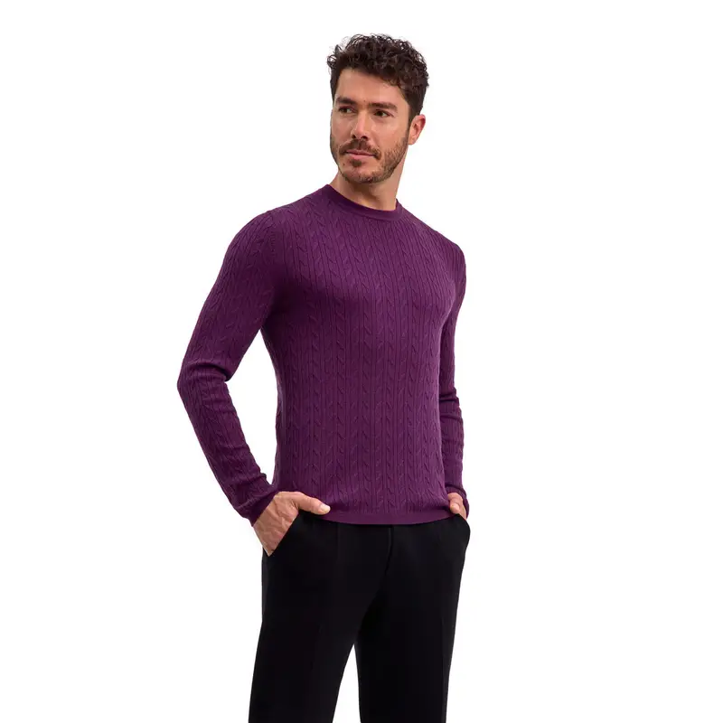 Uomo Pullover Viola