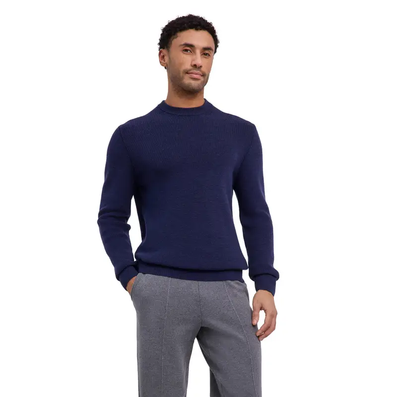 Uomo Pullover Viola