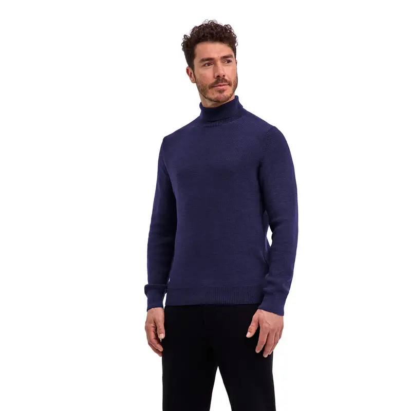 Uomo Pullover Viola