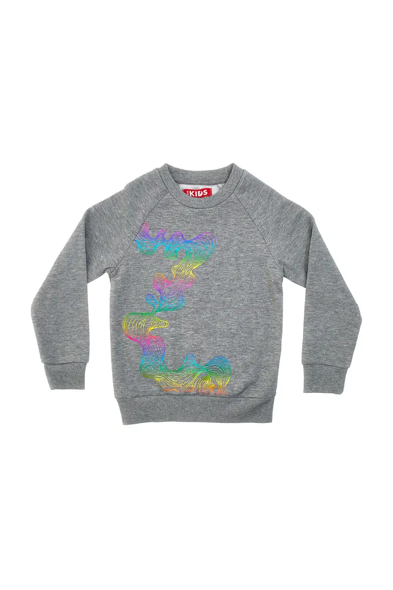 Felpa Girocollo con Stampa Olografica PITT KIDS 6032 miniatura 2