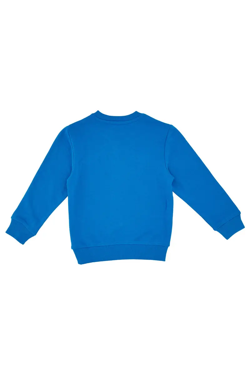 Felpa Leggera Pitt Kids PT-B-F-03075 Bluette miniatura 2