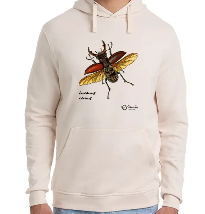 Felpa unisex con cappuccio lucanus cervus