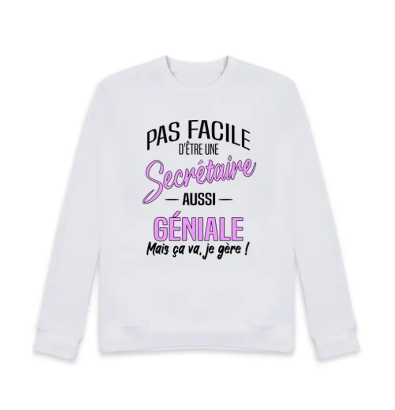 Felpa unisex fantastico regalo segretario divertente