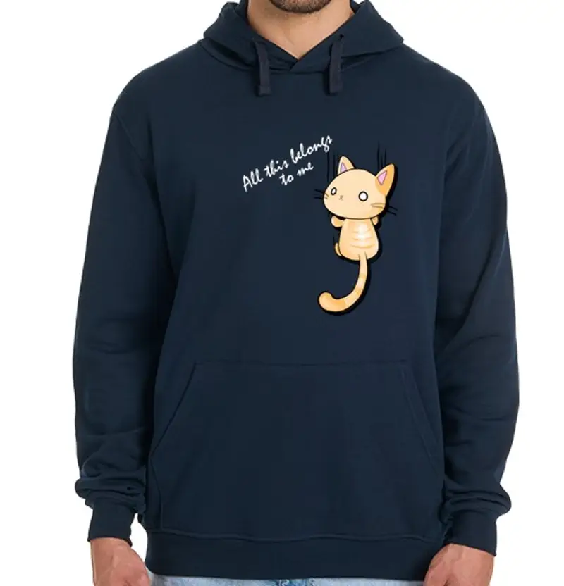 Felpa uomo con cappuccio all esta mi appartiene