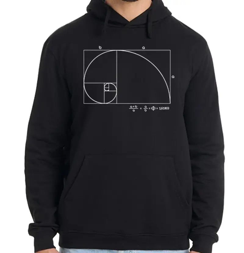 Felpa uomo con cappuccio fibonacci / matematici / pr of e