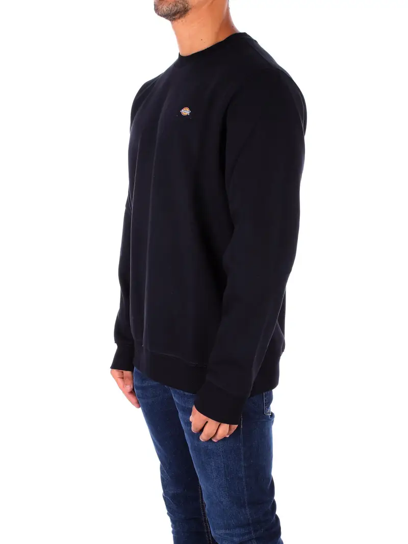 Felpa Uomo DICKIES Black Oakport sweatshirt miniatura 2