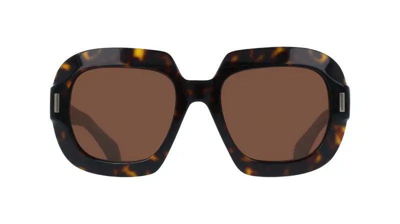 Ferragamo Occhiali da sole Donna Marrone 4304767 miniatura 2