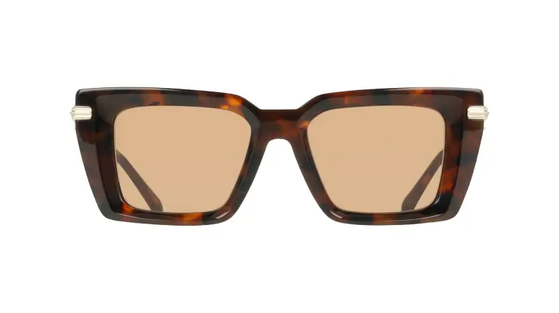 Ferragamo Occhiali da sole Donna Marrone 4198346 miniatura 2