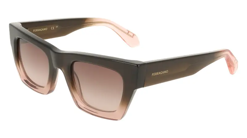 Donna Ferragamo SF2105S 234 Occhiali da sole Acetato Marrone Cat Eye Normale