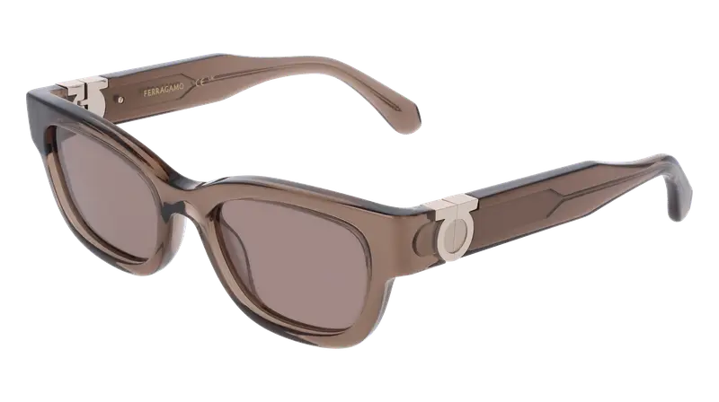 Ferragamo Occhiali da sole Donna Marrone 876064