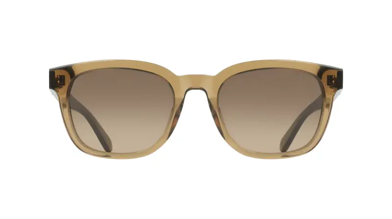 Ferragamo Occhiali da sole Uomo Marrone 4198416 miniatura 2