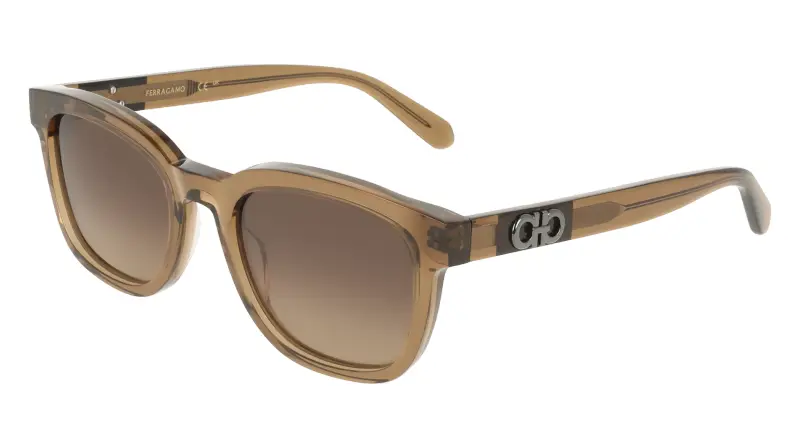 Ferragamo Occhiali da sole Uomo Marrone 4198416