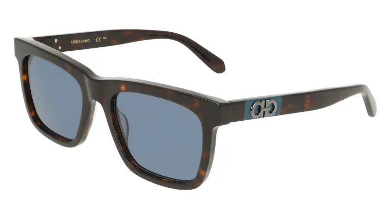 Ferragamo Occhiali da sole Uomo Multicolore 4198350