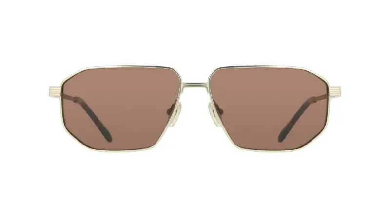 Ferragamo Occhiali da sole Uomo Marrone 4311939 miniatura 2