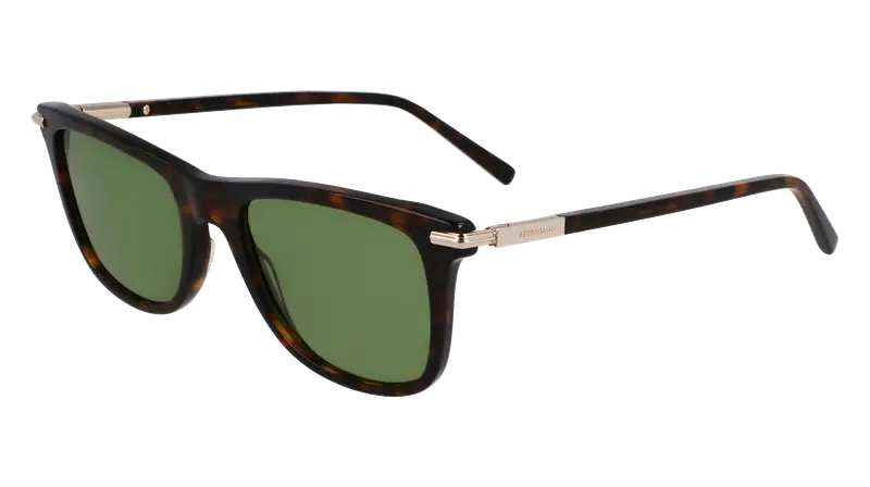 Ferragamo Occhiali da sole Uomo Testa di moro 872855