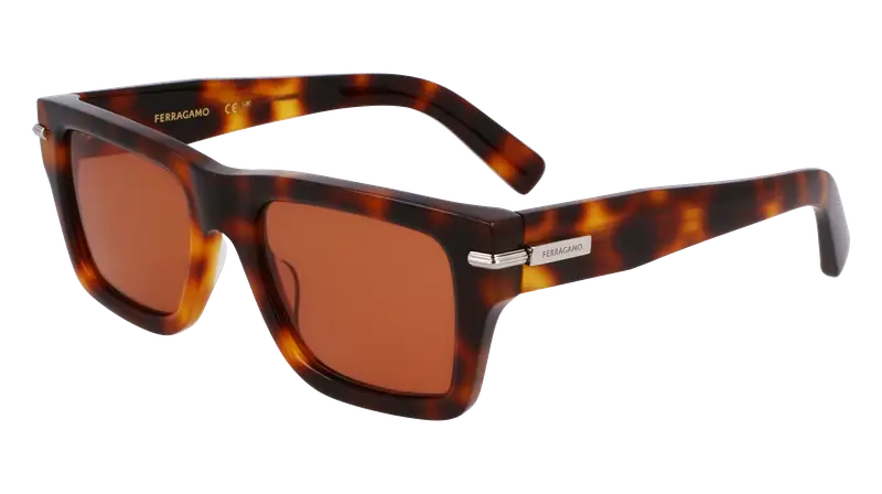 Ferragamo Occhiali da sole Uomo Testa di moro 872781