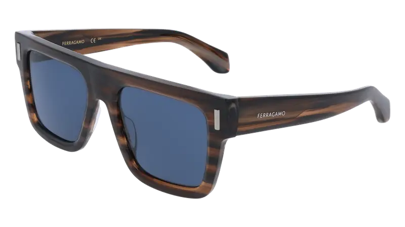 Ferragamo Occhiali da sole Uomo Marrone 876003