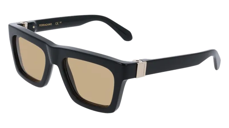 Ferragamo Occhiali da sole Uomo Nero 876851