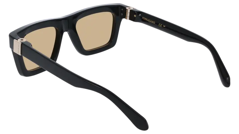 Ferragamo Occhiali da sole Uomo Marrone 876851 miniatura 3