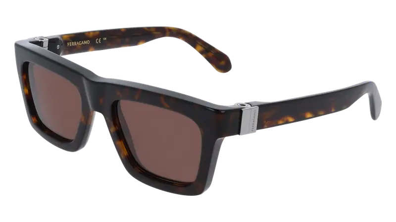 Ferragamo Occhiali da sole Uomo Testa di moro 876847