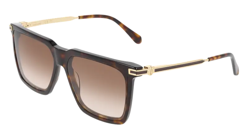 Ferragamo Occhiali da sole Uomo Testa di moro 876896