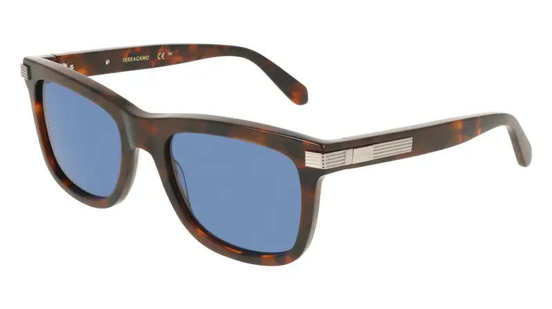 Ferragamo Occhiali da sole Uomo Multicolore 2288191