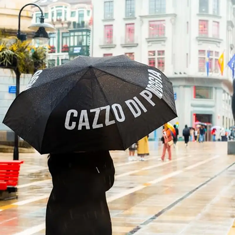 Fisura – Parapluie pliable original Cazzo Di Pioggia noir. Modèle automatique féminin. Facile à transporter. Coupe-vent et robuste, idéal en déplacement. Diamètre ouvert: 96 cm miniatura 3