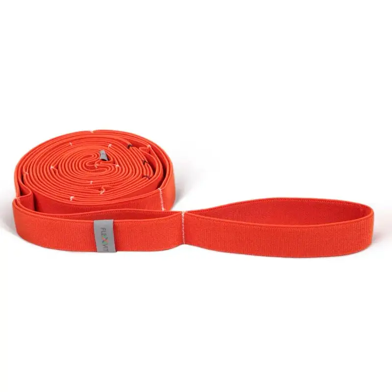 Fascia di resistenza multi-banda facile FLEXVIT