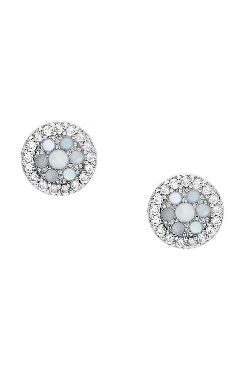 Fossil Orecchini Argento 3568071